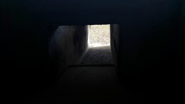 20170801_094942.jpg