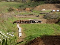 DSCN0307.JPG