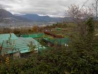 DSCN0218.JPG